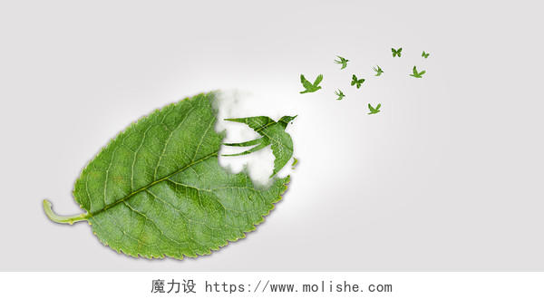 灰白底色创意风格绿色树叶叶子飞鸟剪影动物展板背